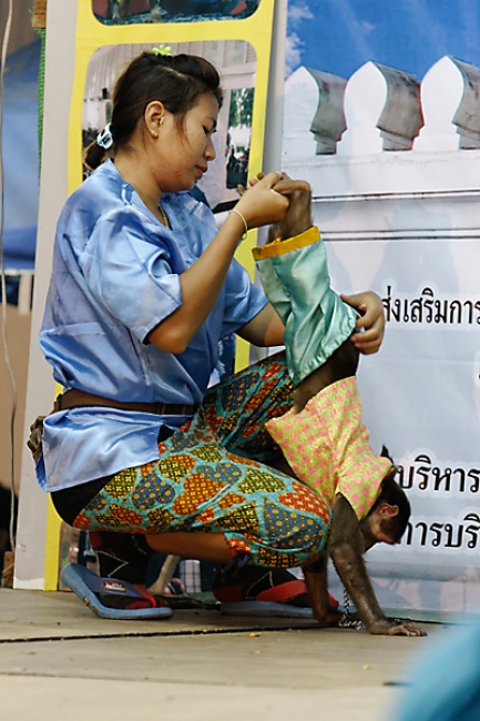 Lopburi King Narai fair-193
